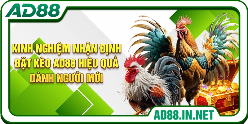 Kinh nghiệm nhận định đặt kèo AD88 hiệu quả dành người mới